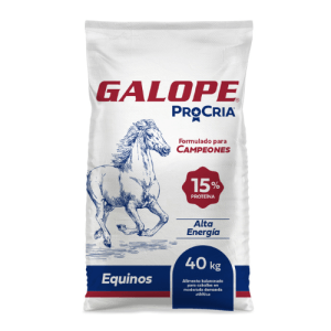 GALOPE foto correcta