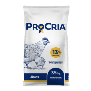 Multipollos foto correcta