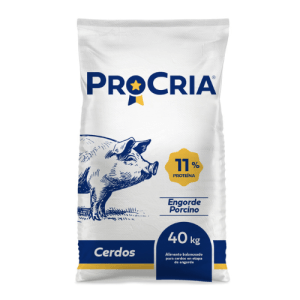 ENGORDE CERDO foto correcta