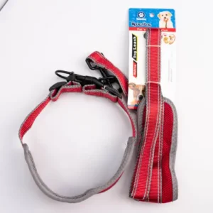 COLLAR C/PASEADOR GDE (MX-363)