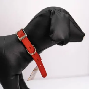 COLLAR NYLON SENC