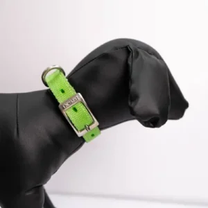 COLLAR POLY UNICOLOR