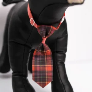 CORBATA P/MASCOTAS