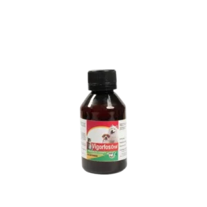 VIGORFOS ORAL