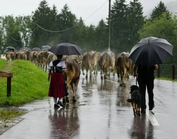 Temporada de lluvias destacada