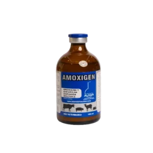 AMOXIGEN 100 ML