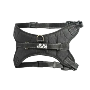 PECHERA T/ARNESS 2PET L