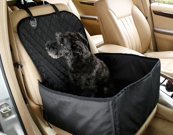 perro viajando